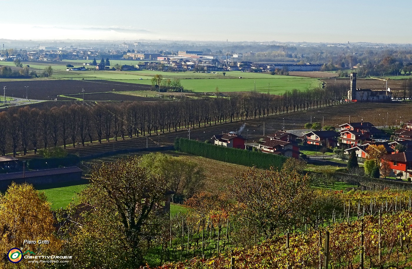 21 Vista sul Santuario Madonna di Prada e il viale alberato.JPG -                                